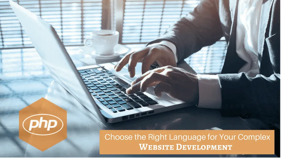 Choose the Right Language for Your Complex Website Development Needs