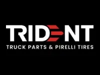 Trident Logo - Website Design and Developed By CS Web Solutions